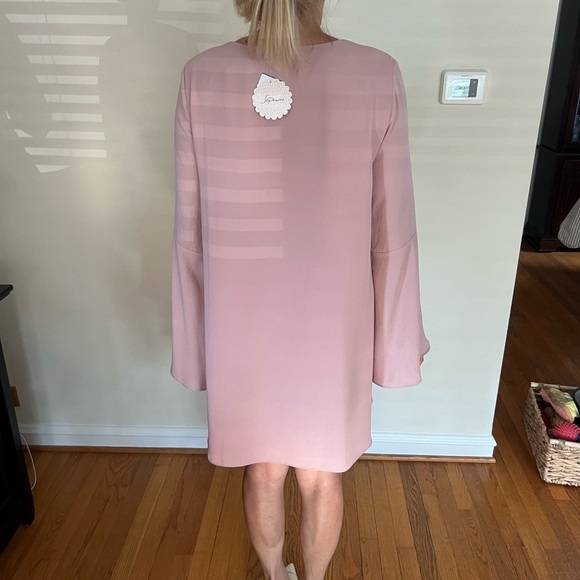 Soprano Blush Lace-Up Mini Dress - Picture 3 of 3